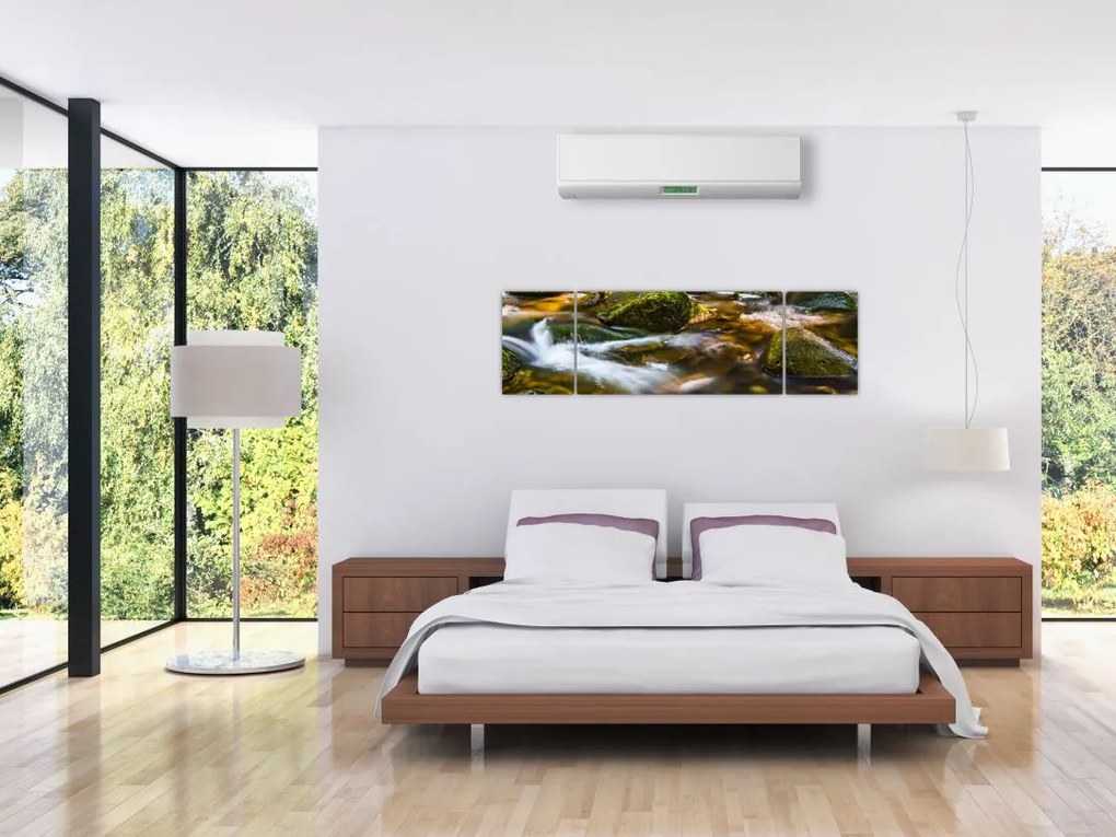 Obraz strumienia (170x50 cm)
