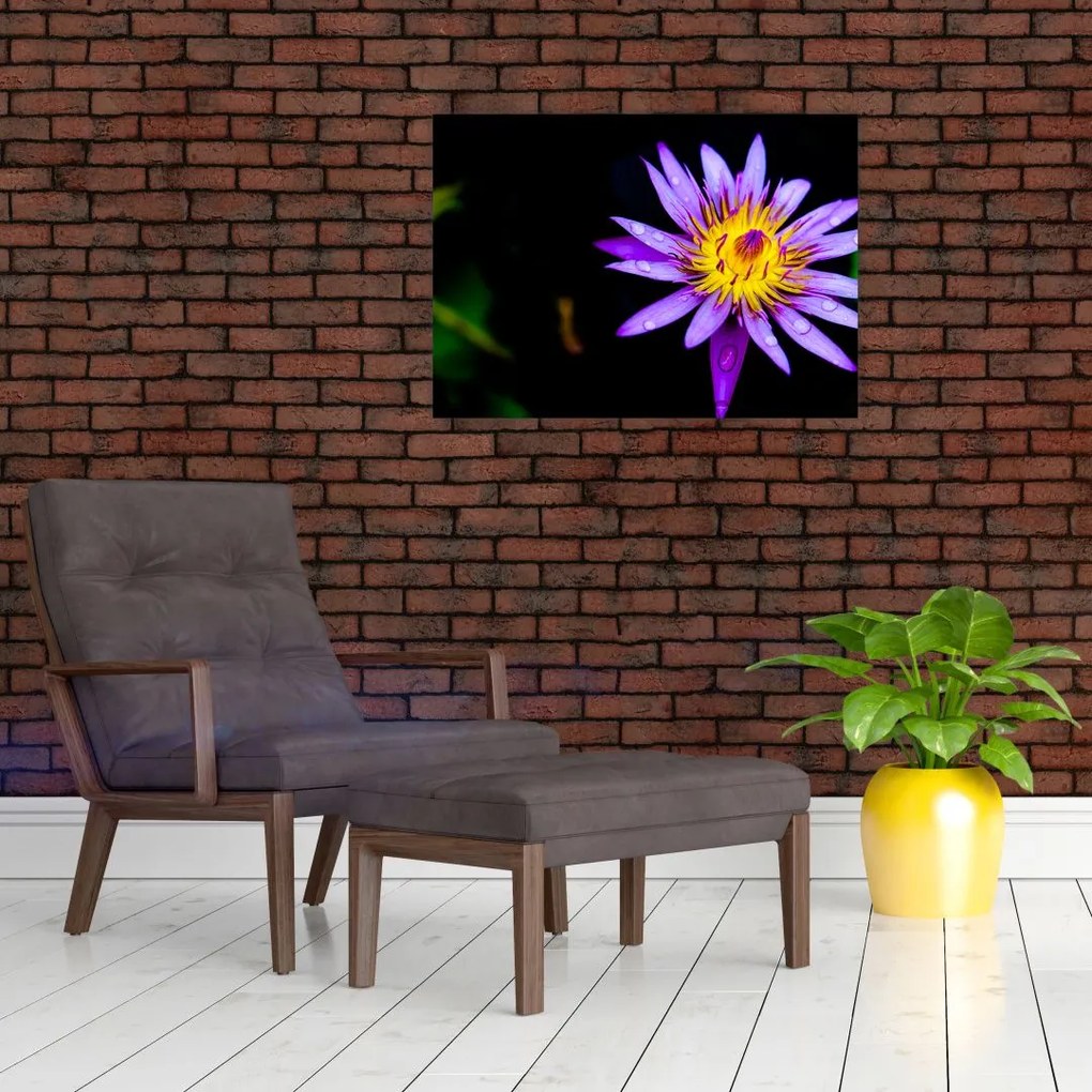Obraz na szkle - kwiat (70x50 cm)