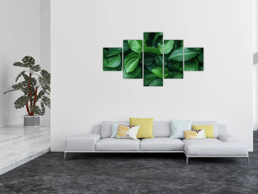 Obraz - Zielone liście (125x70 cm)