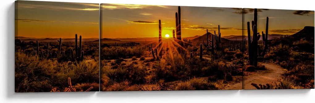 Obraz - Koniec dnia na pustyni w Arizonie (170x50 cm)