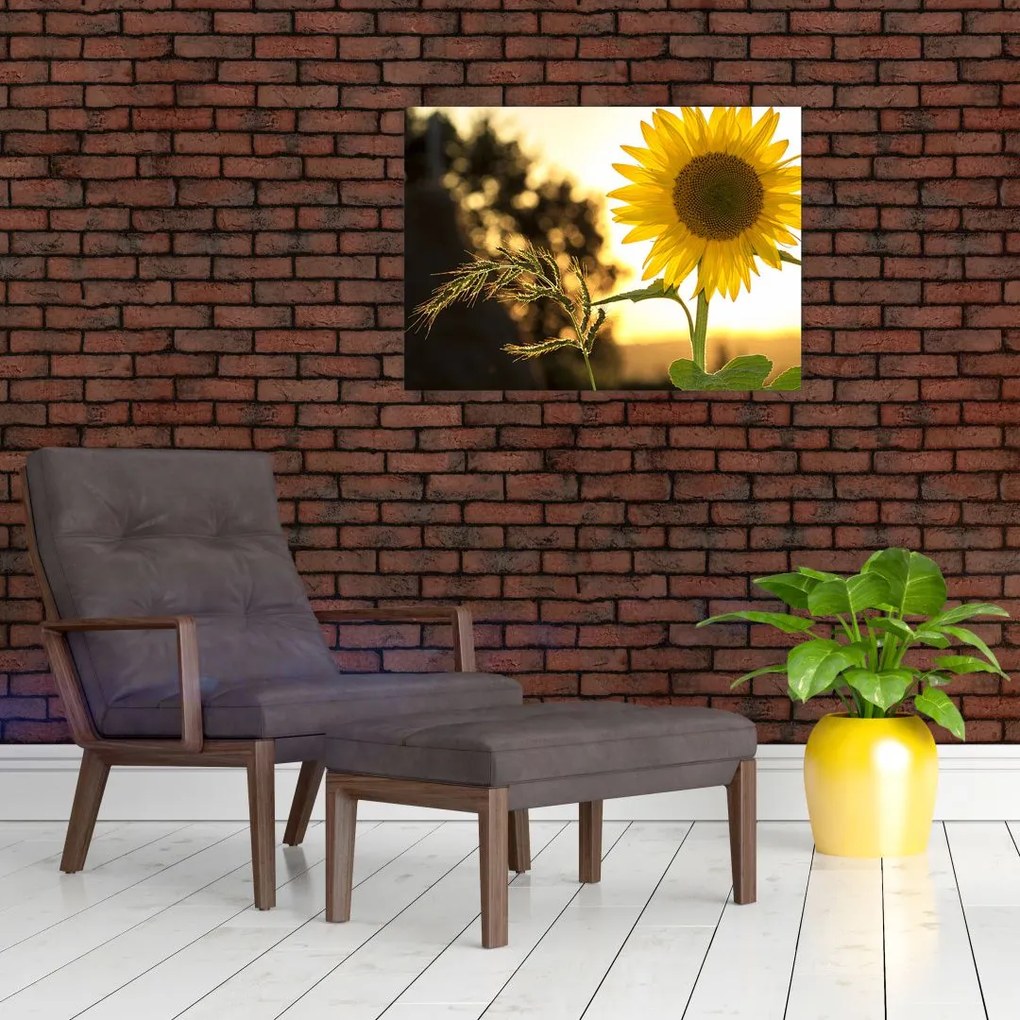 Obraz słonecznika (70x50 cm)