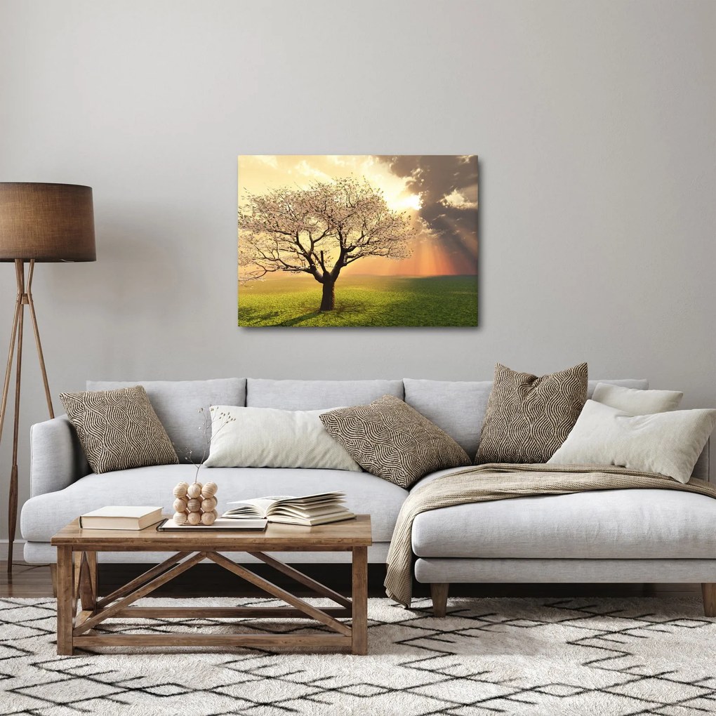 Obraz drzewa na łące (70x50 cm)