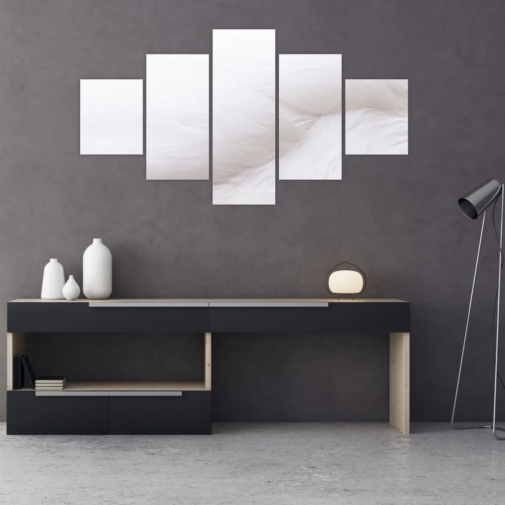 Obraz - Białe pióro (125x70 cm)