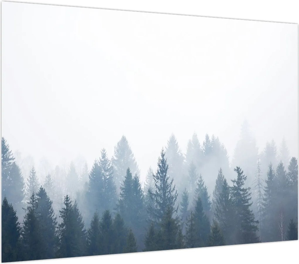 Obraz - Mglisty las (70x50 cm)