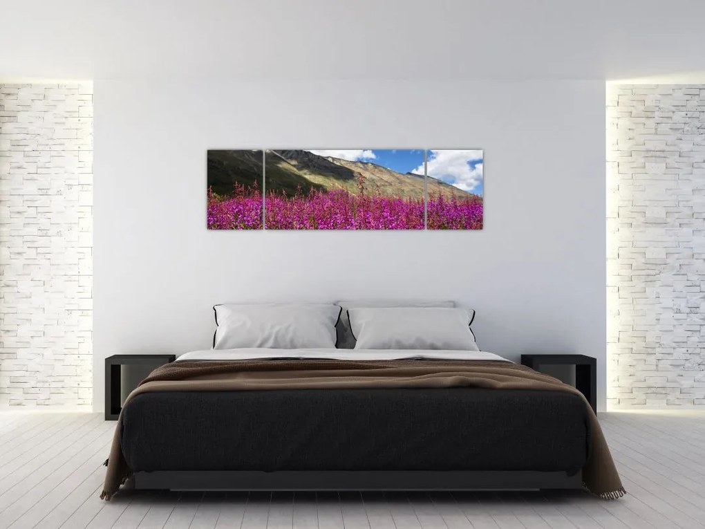 Obraz scenerii łąki górskiej (170x50 cm)