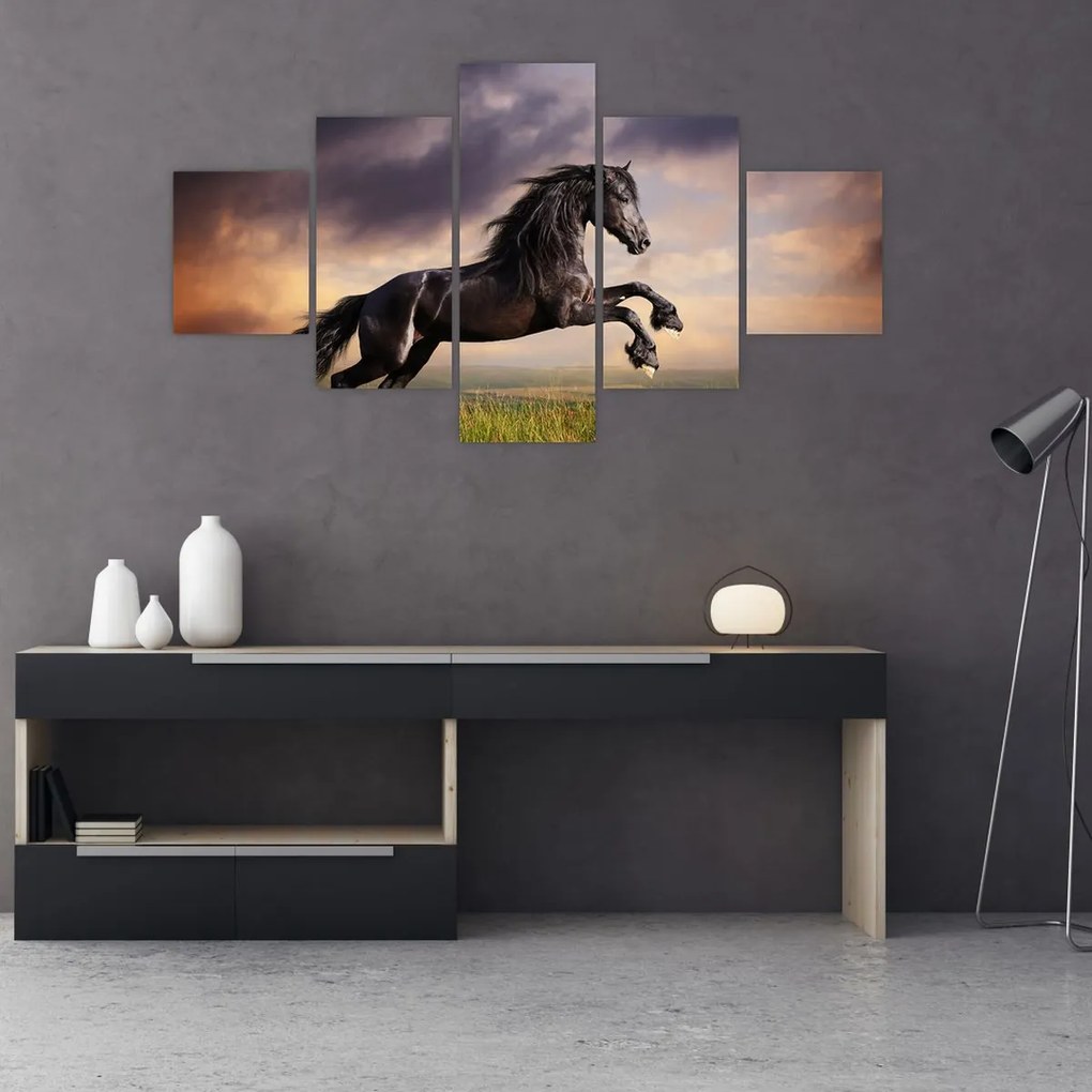 Obraz - Konie (125x70 cm)