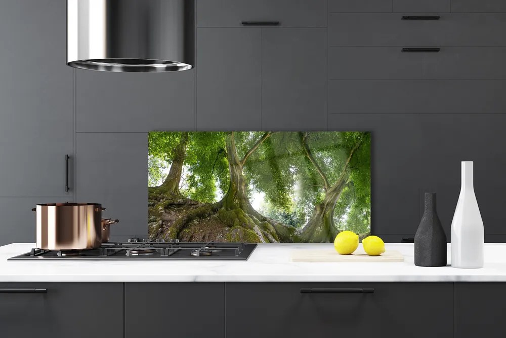 Panel Szklany Drzewa Roślina Natura