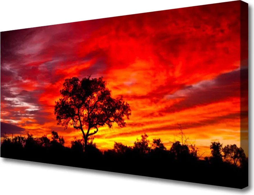 Obraz canvas na ścianę Głusza Leśnej Natury