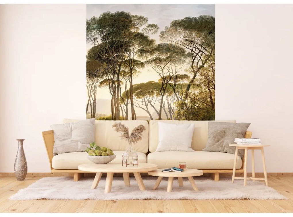Fototapeta Stare drzewa 180 x 255 cm, 2 części
