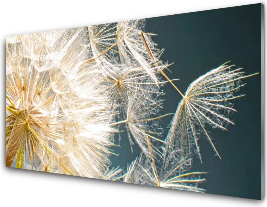 Panel Szklany do Kuchni Lekkość Mniszka Lekarskiego