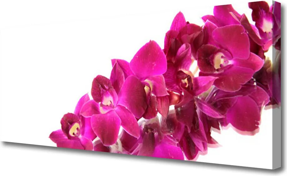 Obraz na płótnie Pastelowy Ogród Botaniczny