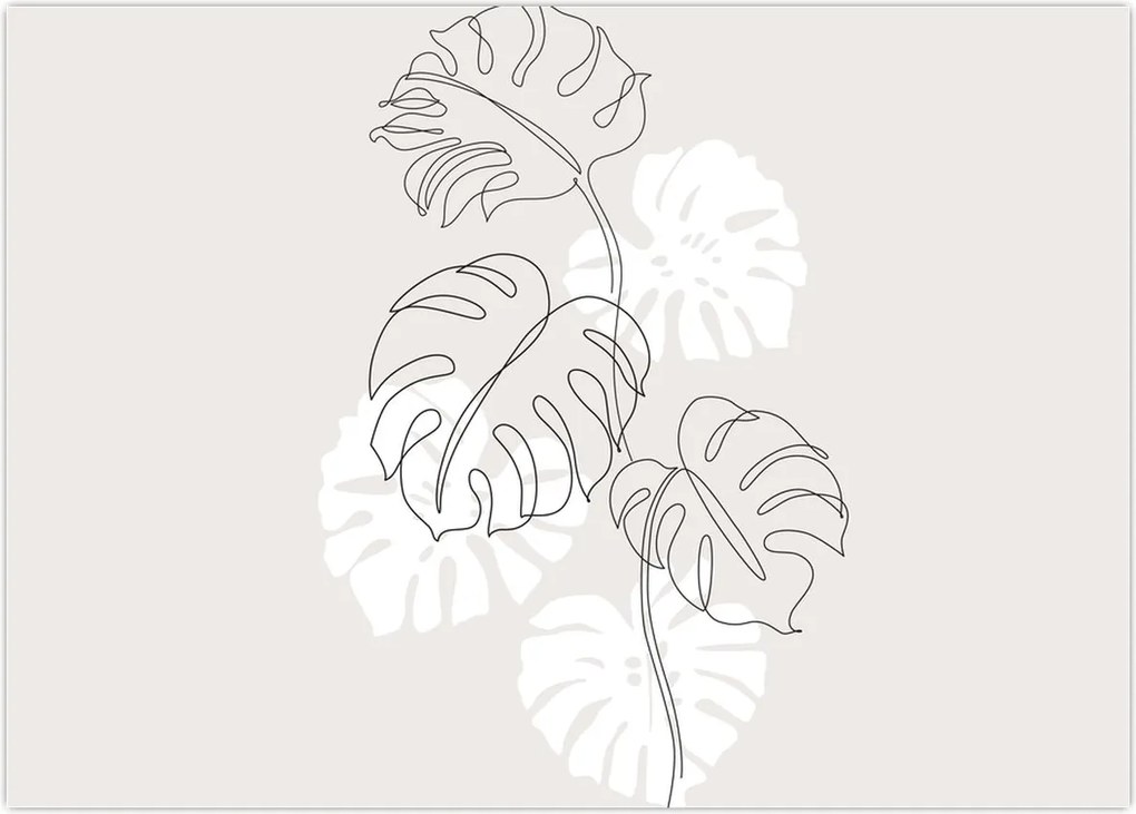 Obraz na szkle - Line art monstera N⁰3 (70x50 cm)