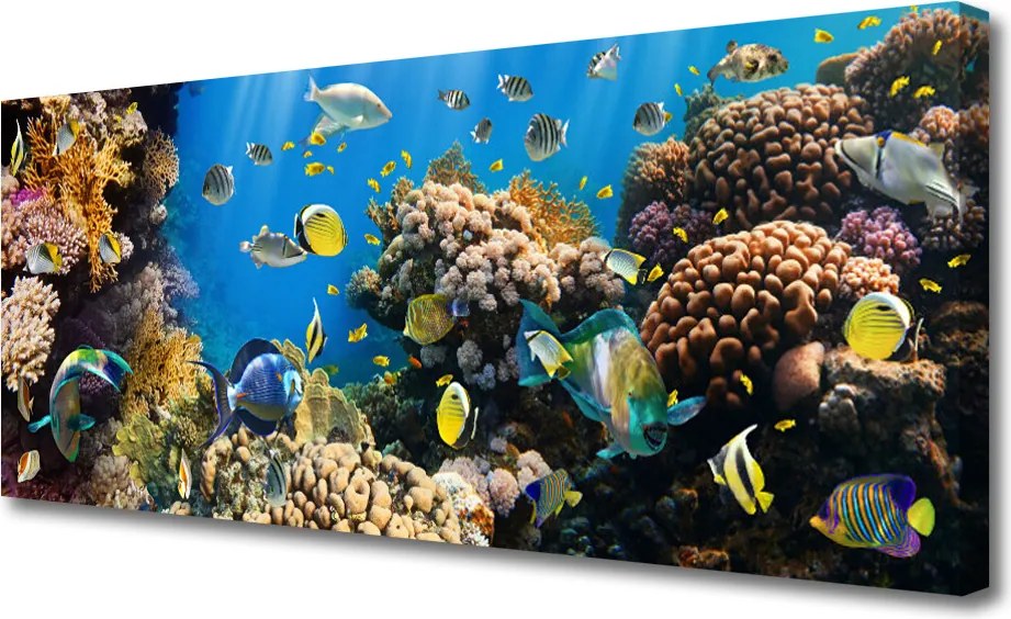 Zdjęcie na płótnie Barwne Życie Rafy Koralowej