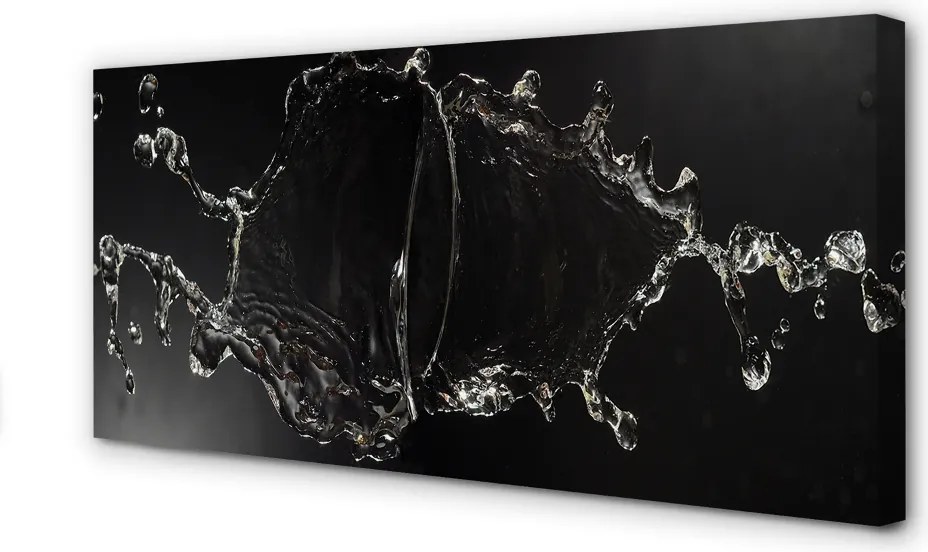 Obraz canvas na ścianę Dynamiczny Chlust Wody