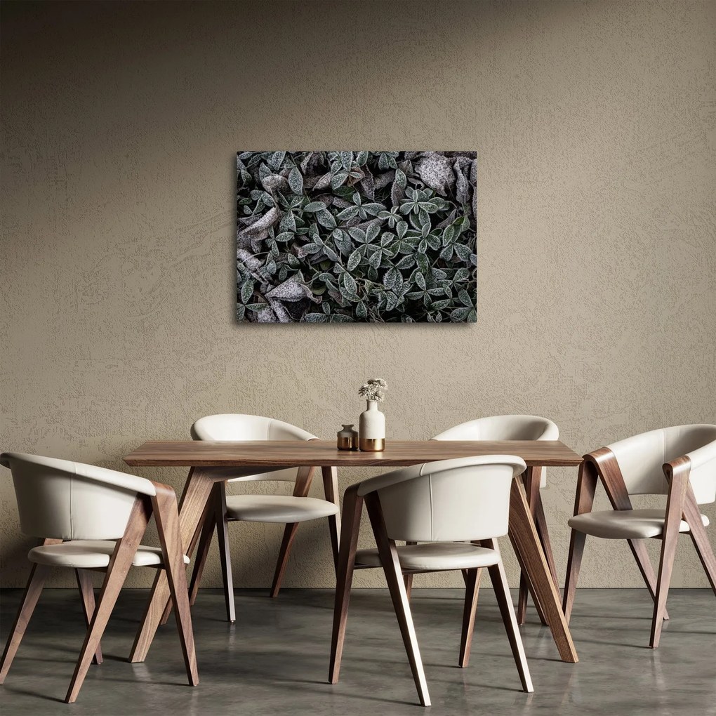Obraz - Zamrożone rośliny (70x50 cm)