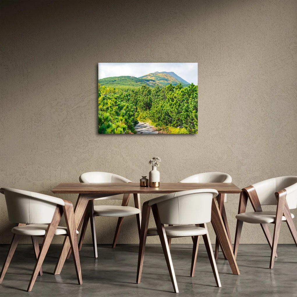 Obraz - Babia Góra, Polska (70x50 cm)
