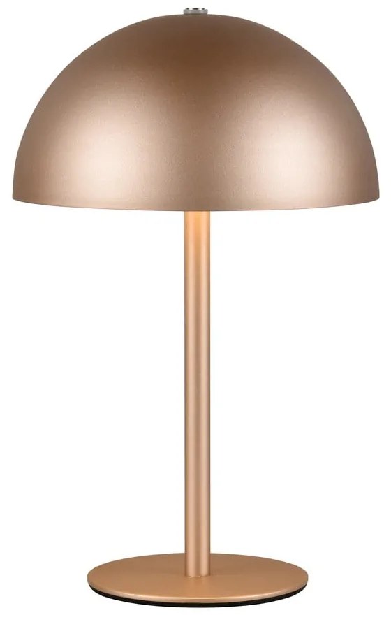 Lampa stołowa LED w kolorze brązu z metalowym kloszem (wysokość 21 cm) Munoz – Trio