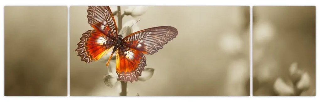 Obraz motyla (170x50 cm)