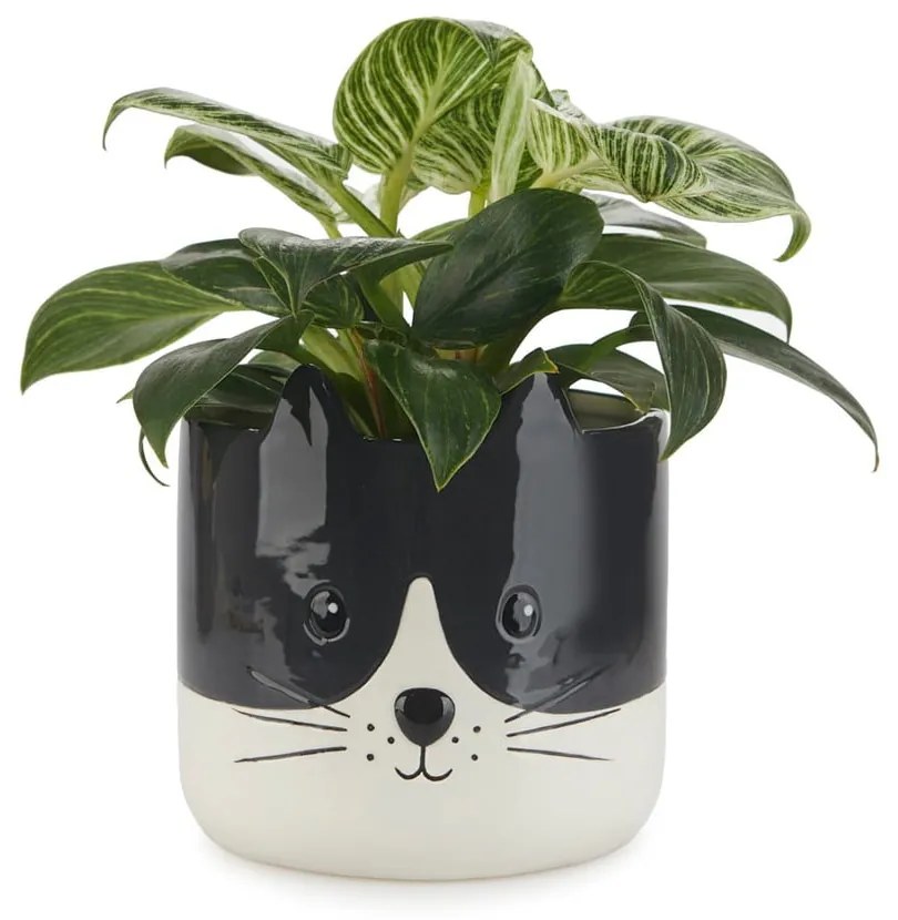 Ceramiczna doniczka ø 13,5 cm Kitty – Balvi