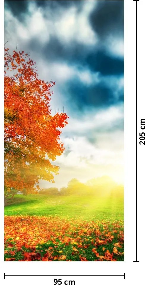 Fototapeta na drzwi - Krajobraz skąpany w słońcu (95x205cm)
