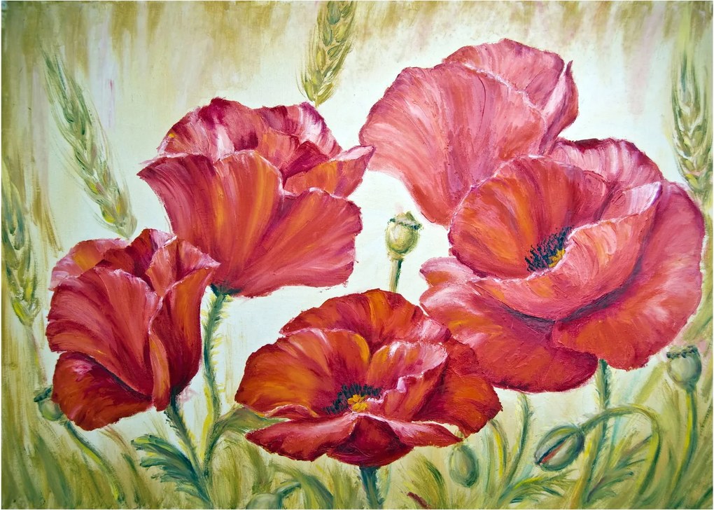 Obraz na szkle - Kwiaty maku (70x50 cm)