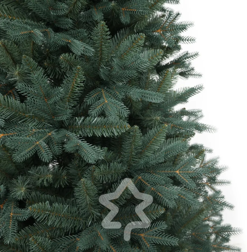 Świerk srebrny 210 cm