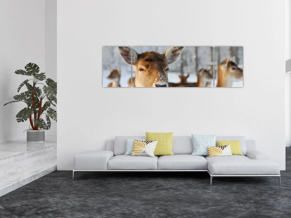 Obraz - Jelonki (170x50 cm)