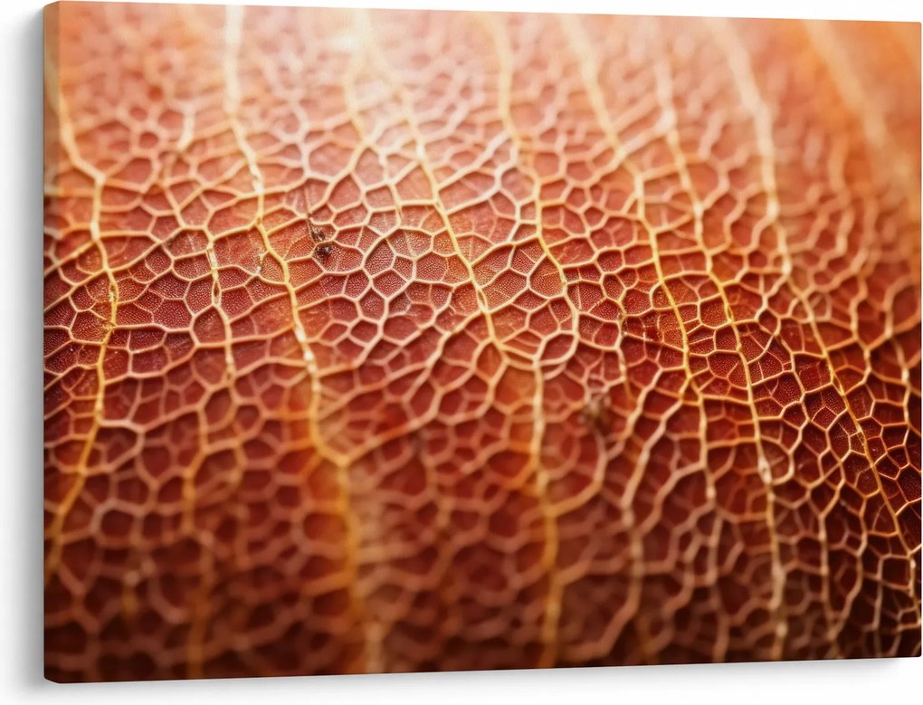 Obraz - Szczegóły tekstury (70x50 cm)