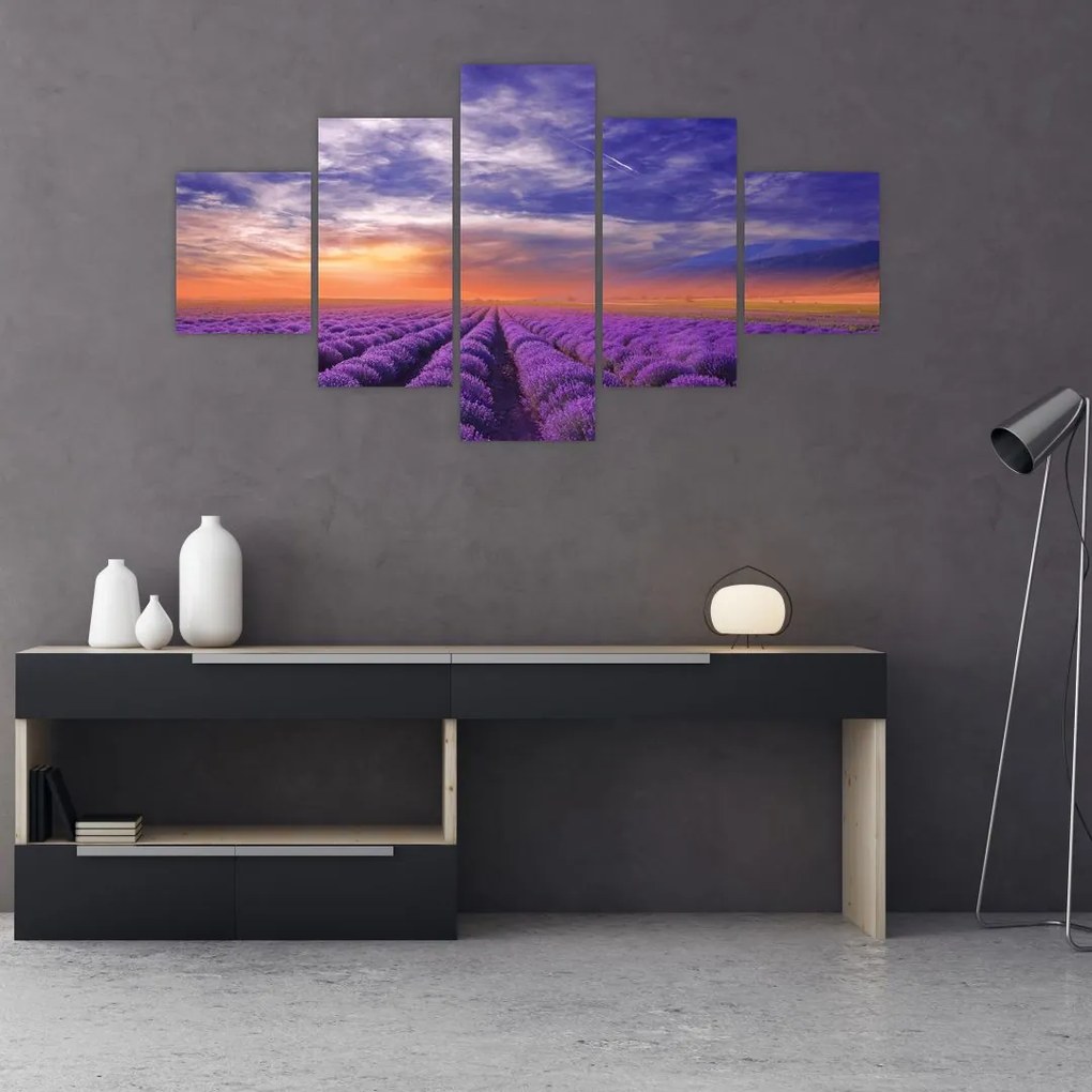 Obraz lawendowego pola (125x70 cm)