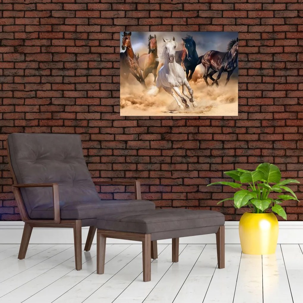 Obraz - Konie na pustyni (70x50 cm)