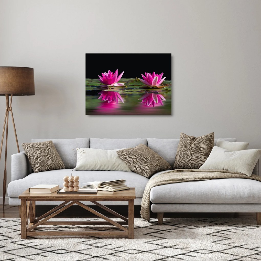 Obraz na szkle lilii wodnych na wodzie (70x50 cm)