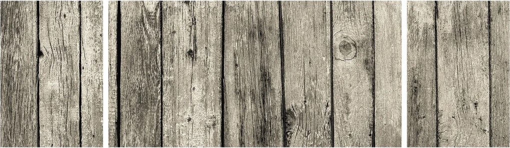 Obraz - Drzewo (170x50 cm)