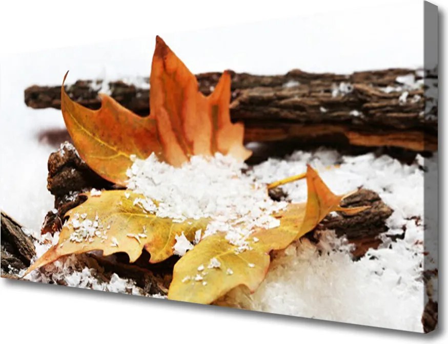 Obraz canvas Urok Skromnej Stokrotki