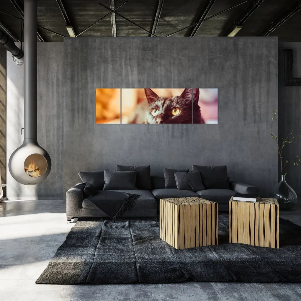 Obraz czarnego kota (170x50 cm)