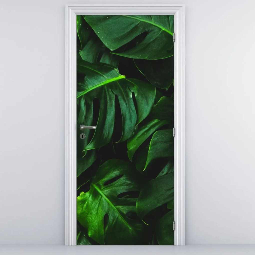 Fototapeta na drzwi - Liście monstery (95x205cm)