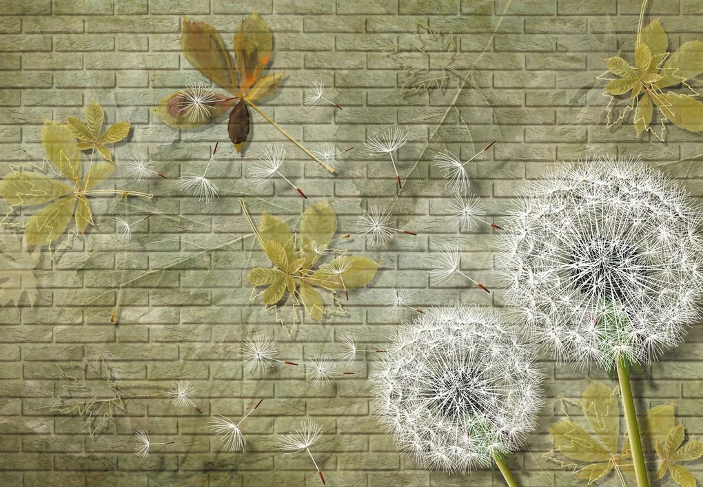 Fototapeta - Dmuchawce na wietrze (196x136 cm)