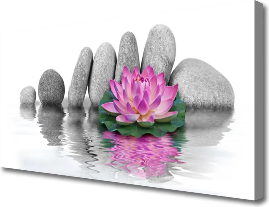Obraz canvas Balans Natury: Kwiat i Skała