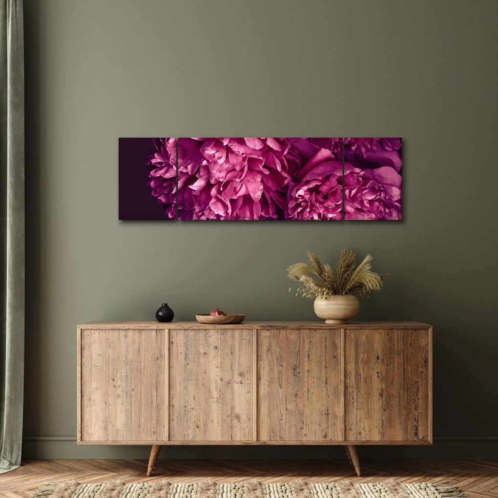 Obraz - Kwiaty piwonii (170x50 cm)