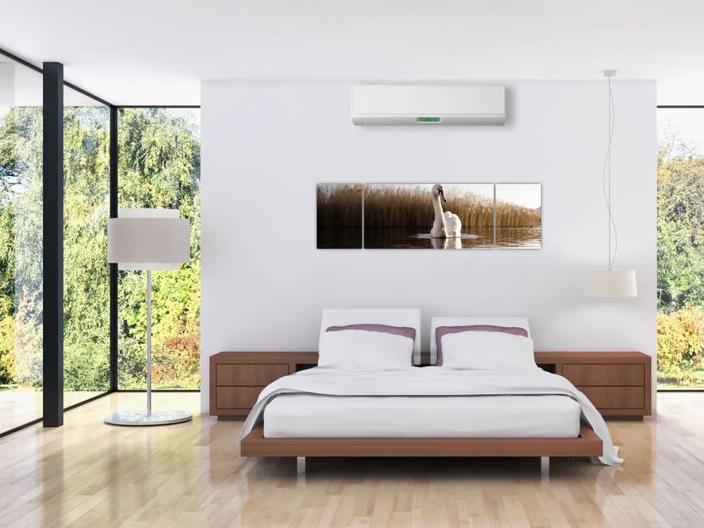 Obraz łabędzia (170x50 cm)