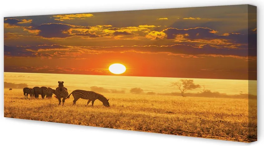 Fotoobraz na płótnie Zebry o Zachodzie Słońca
