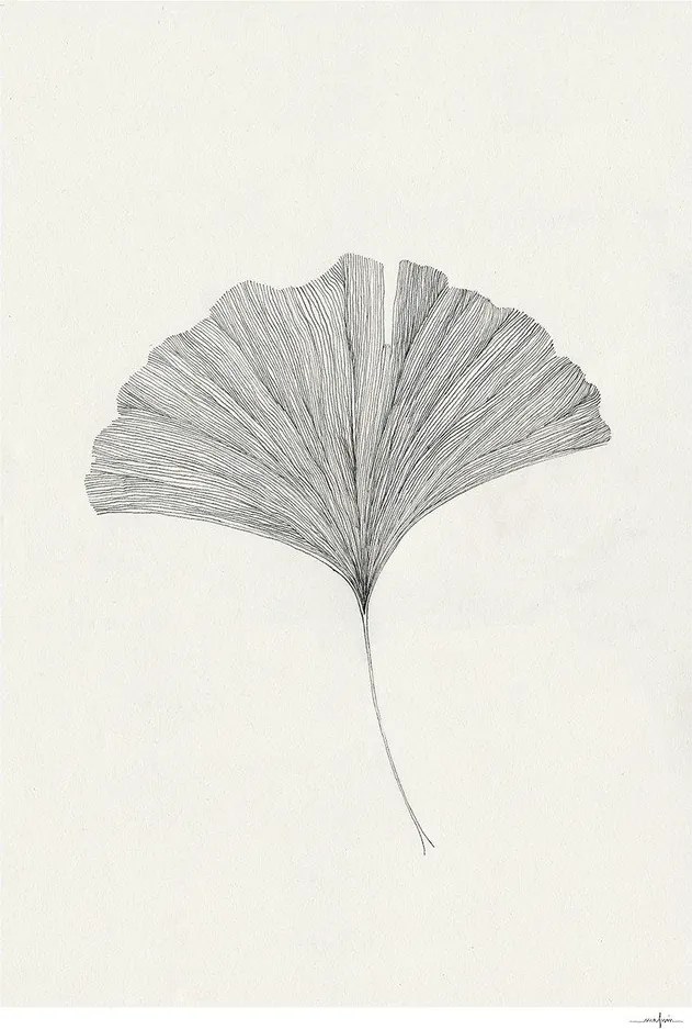 Plakat 50x70 cm Ginkgo Leaf – Ana Frois – The Poster Club