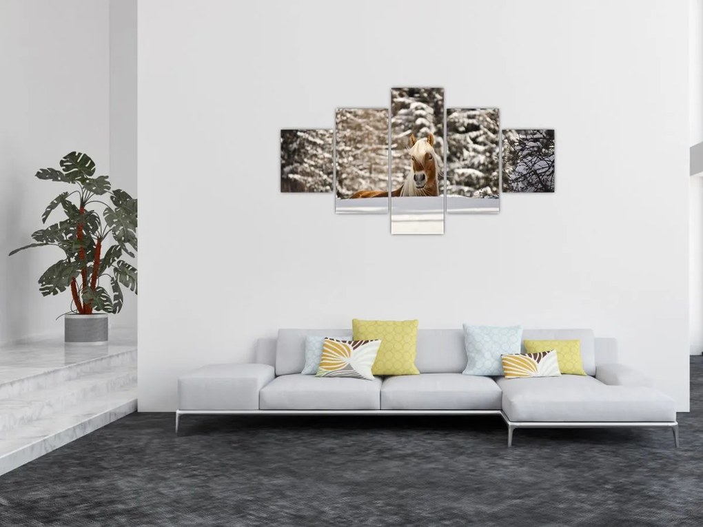 Obraz - Koń w zimowym krajobrazie (125x70 cm)