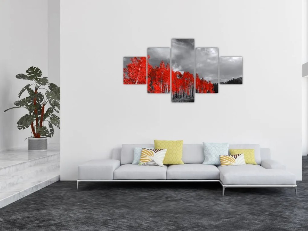 Obraz - Drzewa w kolorze jesieni (125x70 cm)