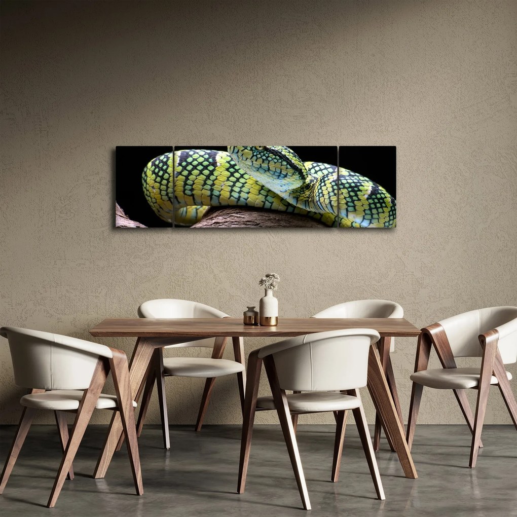 Obraz - Grzechotnik Waglera (170x50 cm)