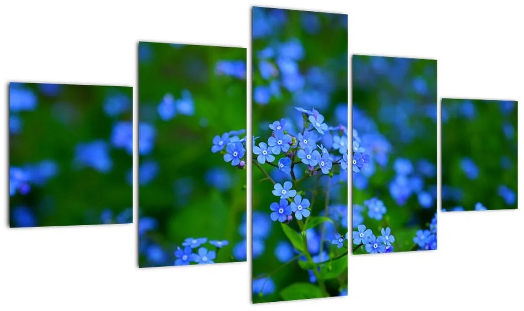 Obraz niebieskich kwiatów (125x70 cm)