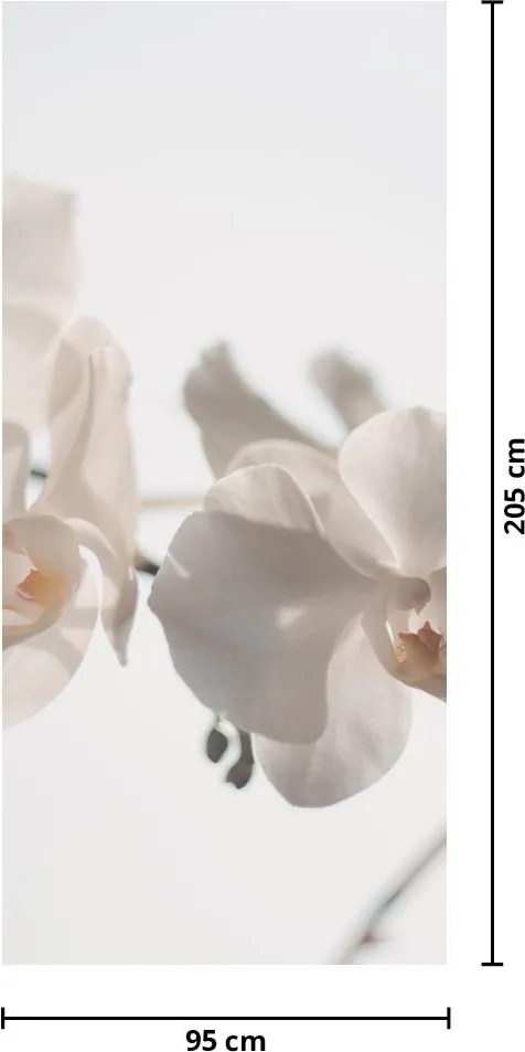 Fototapeta na drzwi - Białe orchidee (95x205cm)