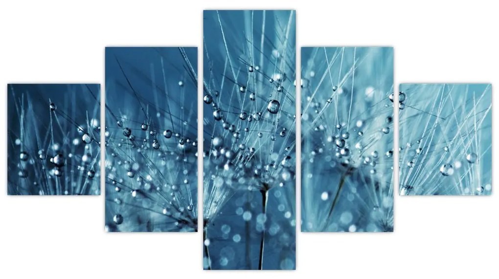 Obraz - Krople rosy (125x70 cm)