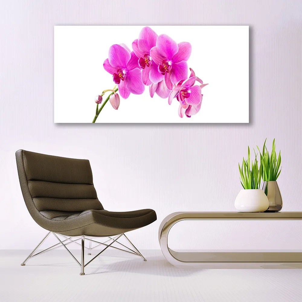 Obraz Canvas Storczyk Kwiat Orchidea