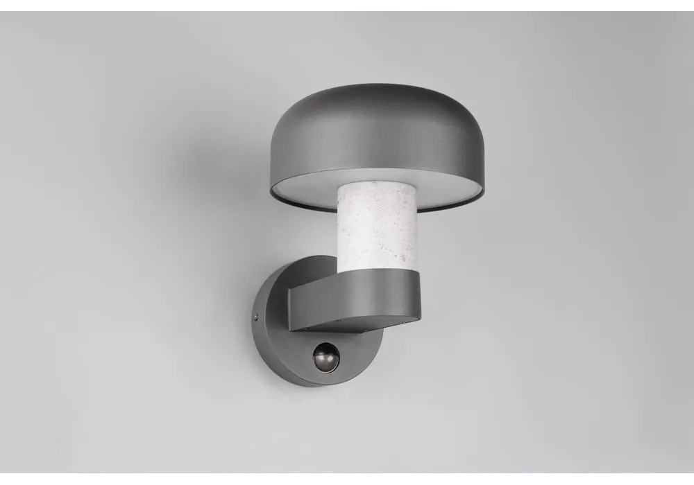 Zewnętrzna lampa ścienna (wysokość 24,5 cm) Fraser – Trio