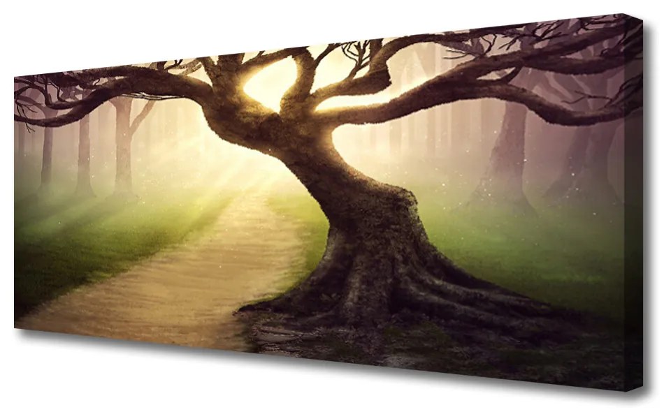 Obraz Canvas Drzewo Promienie Słońce
